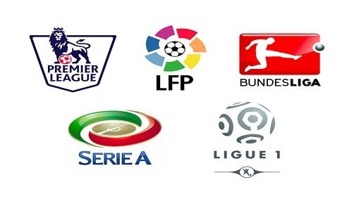 他们不仅为 他们不仅为